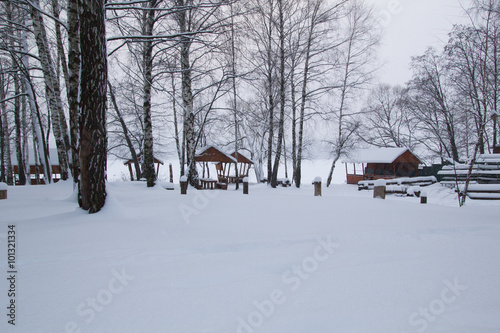 Fototapeta Naklejka Na Ścianę i Meble -  winter landscape in the countryside 