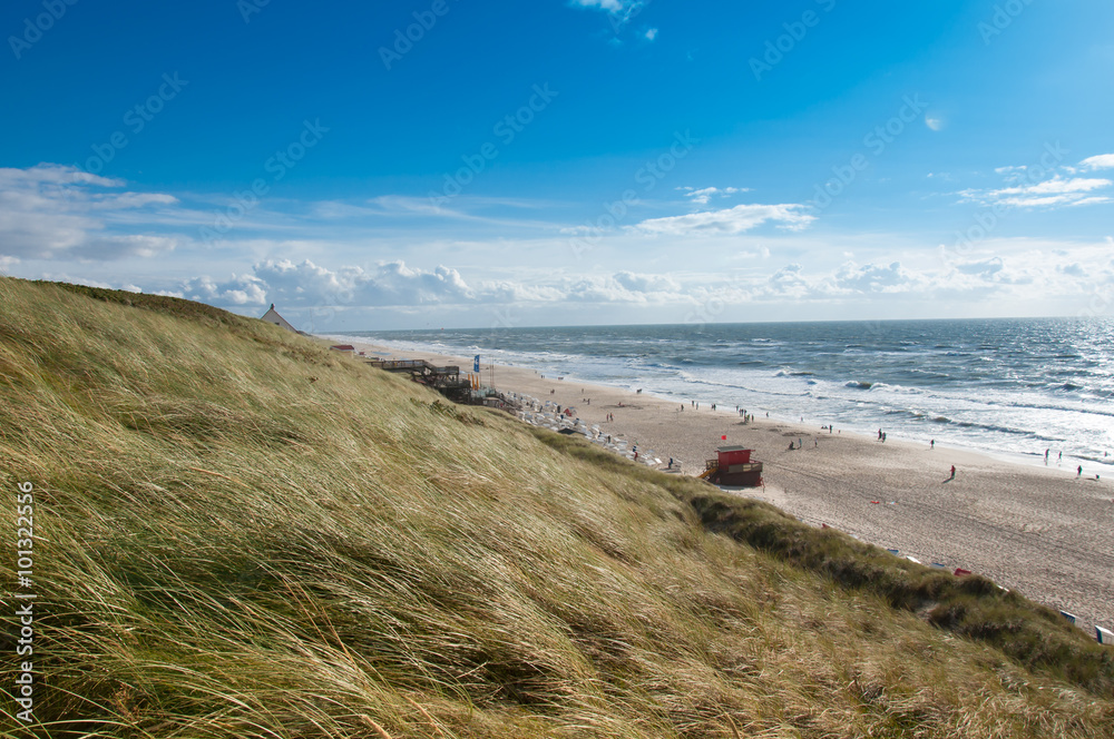 Fotografie Windy day at the beach, Sylt