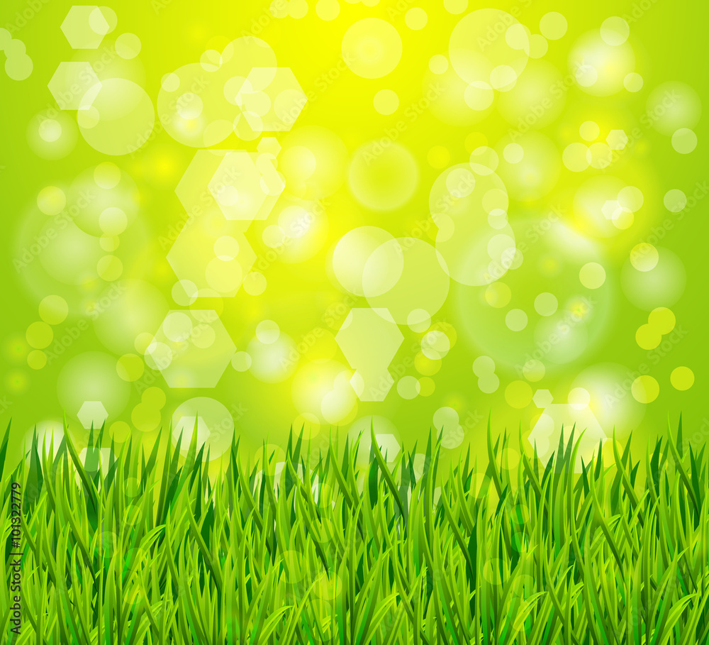 nature background with green grass