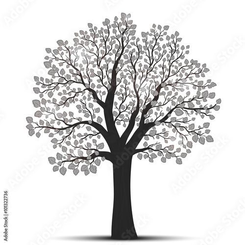 Naklejka Sylwetka drzewa z liśćmi