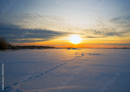 Bright sun at sunset  winter with the road and  footprints in  snow.