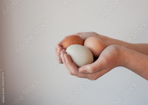 Hands Holding Free Range Eggs