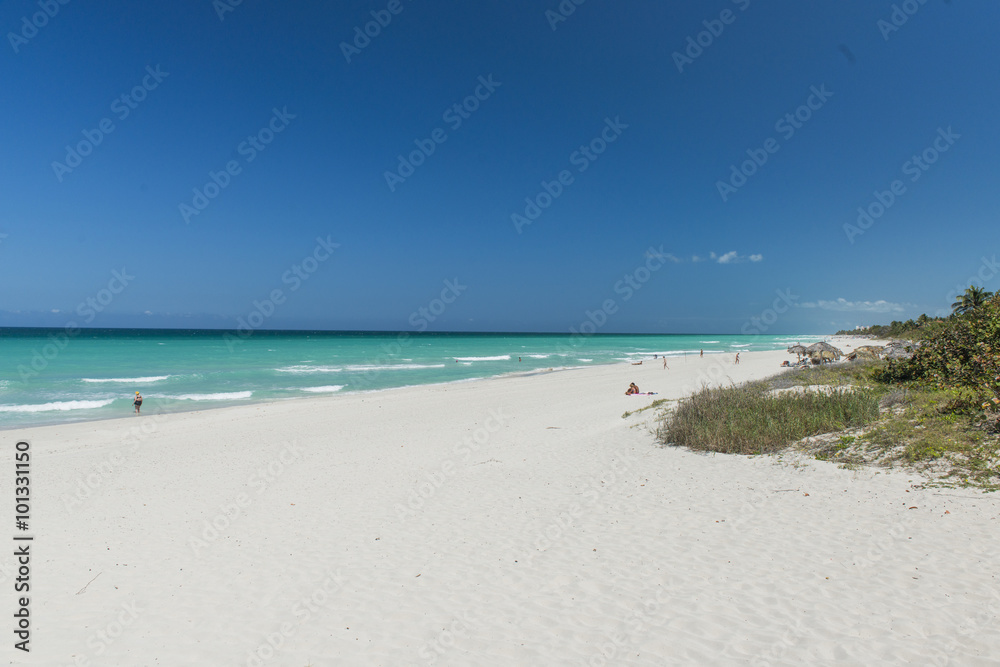 Fototapeta premium Caribbean sandy beach - Varadero, Cuba