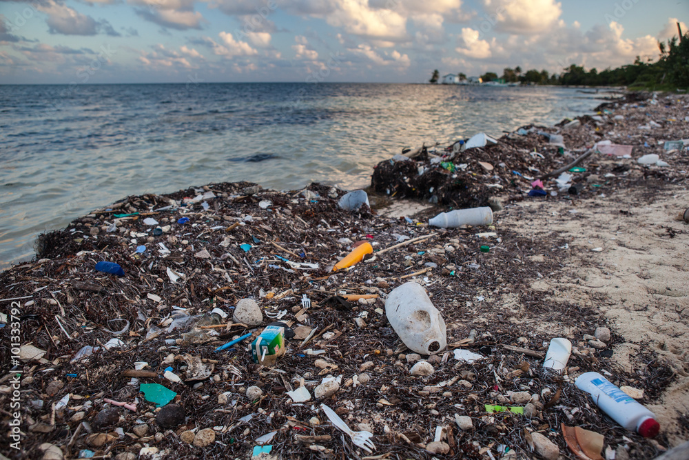 Naklejka premium Plastikowe śmieci myte na plaży