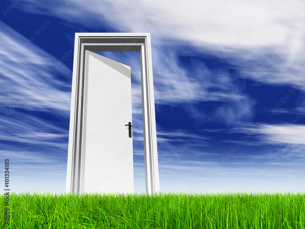 Conceptual white door in grass with sky background Conceptual white door in grass with sky background