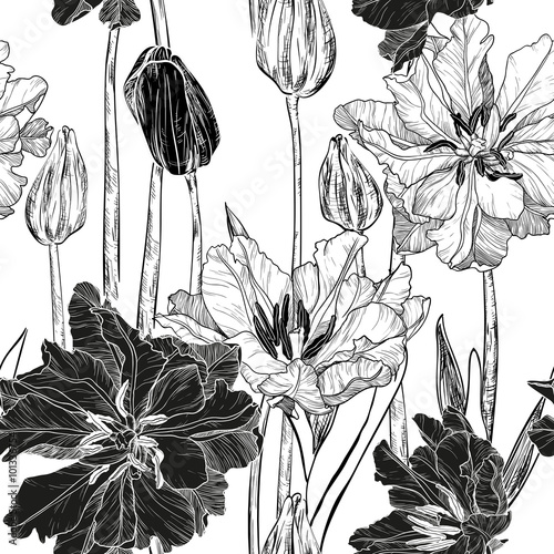 Fototapeta Naklejka Na Ścianę i Meble -  Vector seamless pattern with spring tulip flowers (black and whi