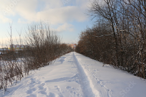 Тропинка в снегу, идущая между поселком и лесом в зимний солнечный день