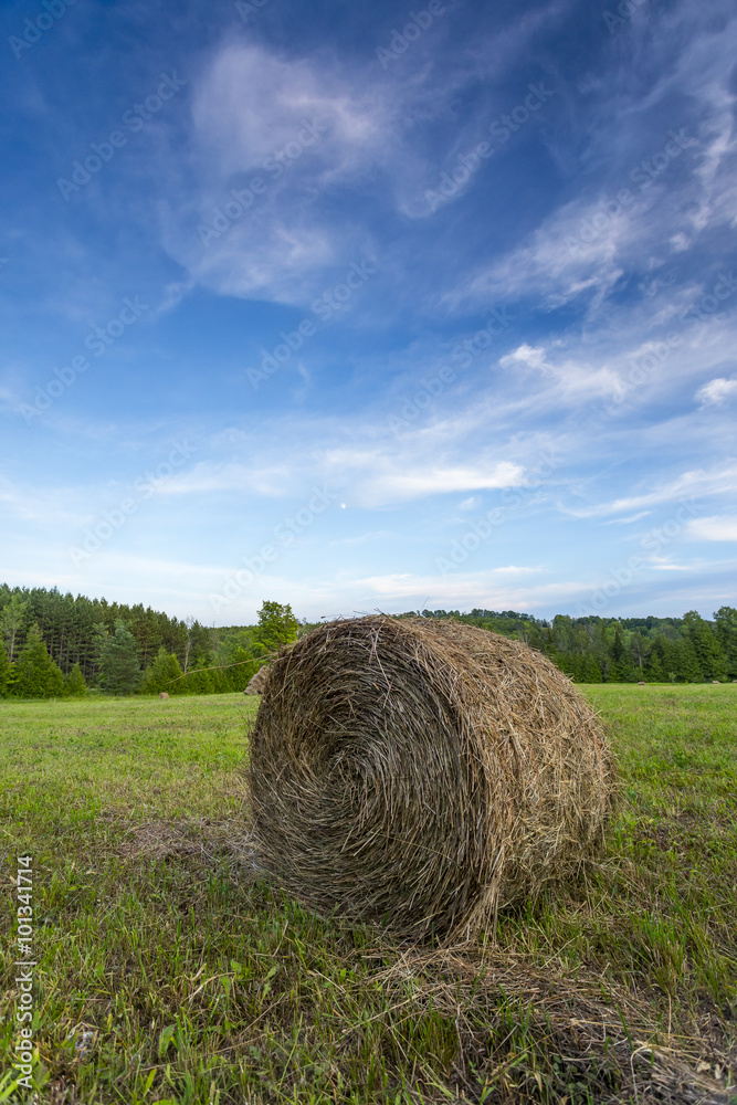 Hay Bales, food for livestock animals