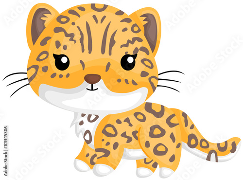 Cute Jaguar photo