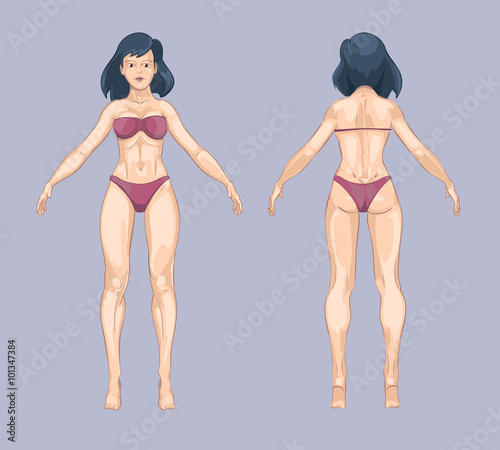 Woman or female body in cartoon style. Front and back standing pose. Beauty lady, person adult model, fashion bikini underwear. Vector illustration