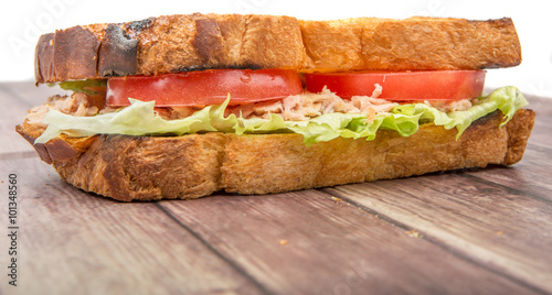 Toasted tuna sandwich with salad and tomato slices over wooden background