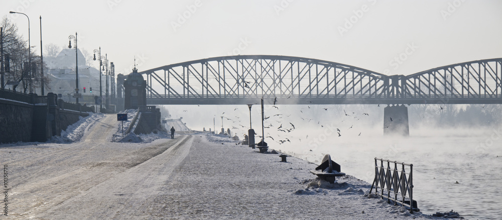Obraz premium Prague city, Czech Republic bank of river Vltava winter time