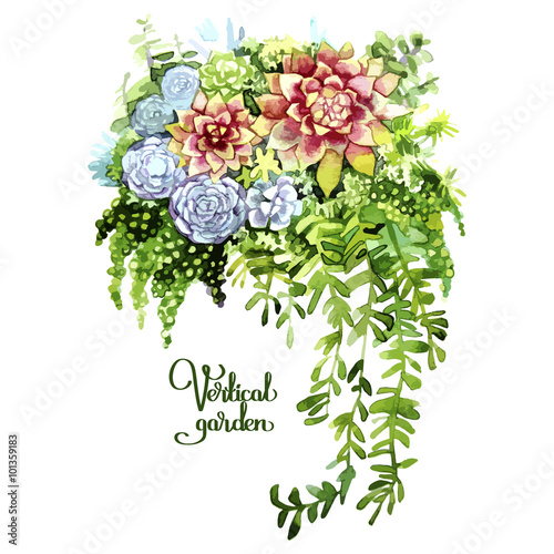 Watercolor green succulent