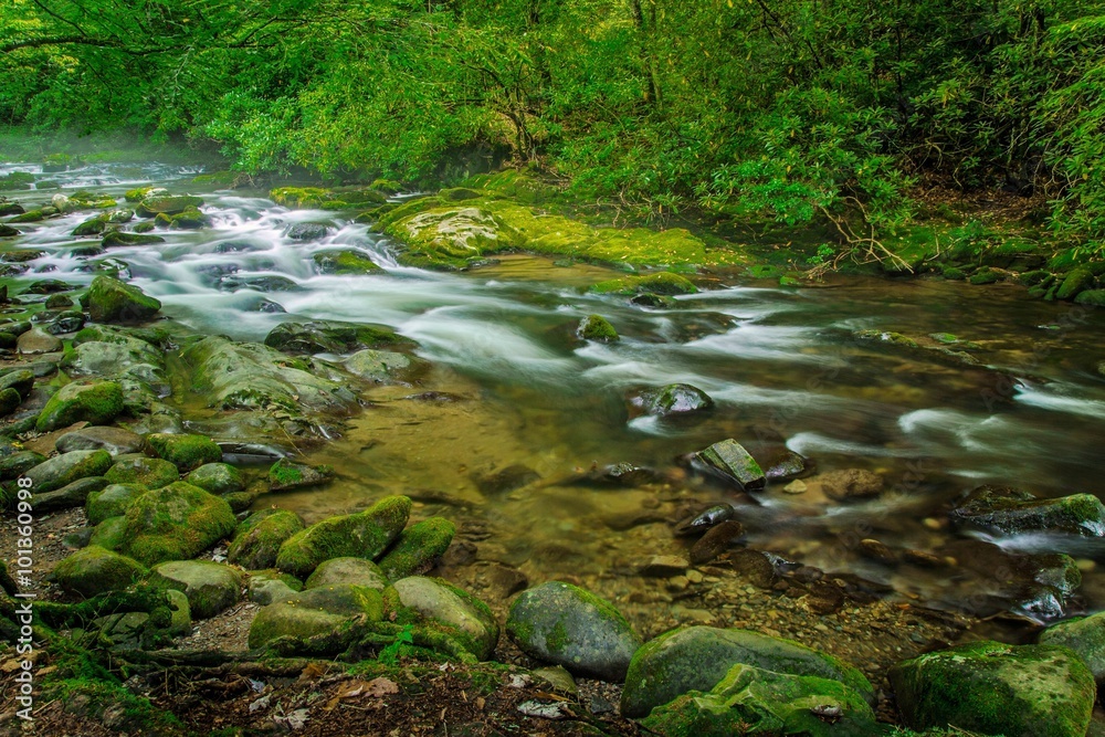 Fototapeta premium Smoky Mountain Stream. A river flows through the pristine beauty of the Great Smoky Mountains National Park. Gatlinburg, Tennessee.