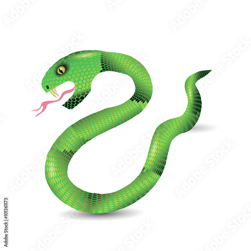 Cartoon Green Snakes © valeo5