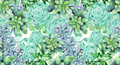 Watercolor succulent pattern
