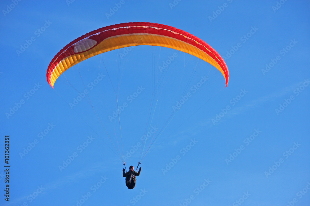 Paraglider Paraglider