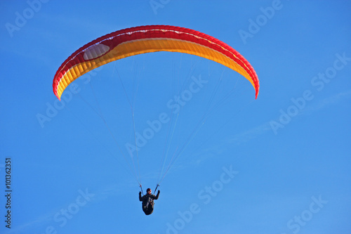 Paraglider