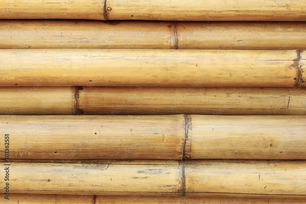 Dried bamboo trunks stacked on each other Dried bamboo trunks stacked on each other
