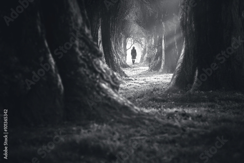 Afraid woman walking into the deep forest