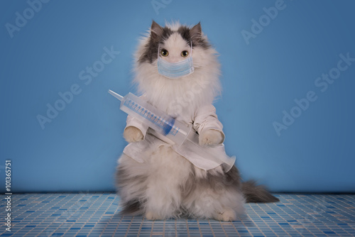 Fototapeta Naklejka Na Ścianę i Meble -  Cat in a suit doctor tells how to deal with the epidemic of infl