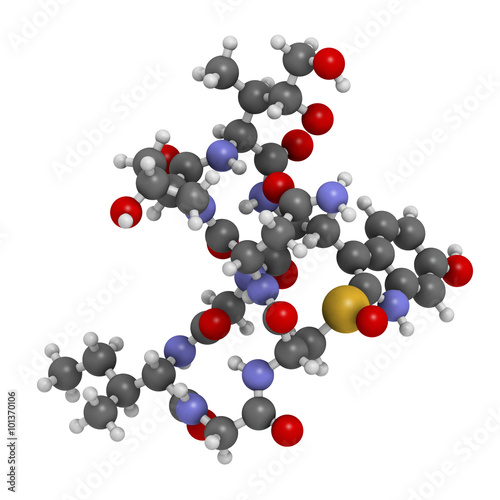 Alpha-amanitin death cap toxin molecule.