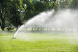 watering in green grass field