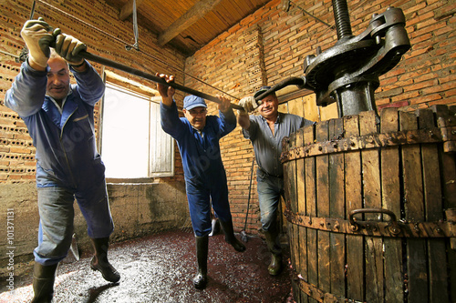 Εκτύπωση καμβά farmers making wine of grape  in traditional winepress  in  Villarejo de Orbigo,