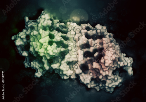 Pea lectin protein. Carbohydrate binding protein. photo