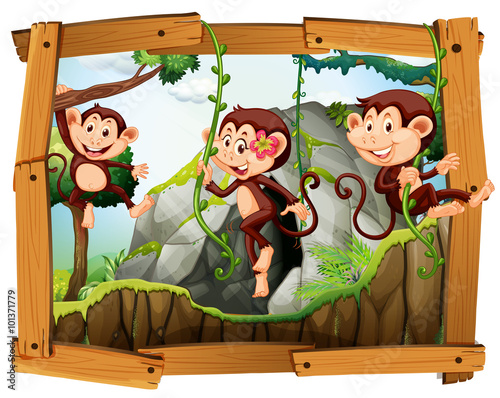 Monkeys and cave in the wooden frame