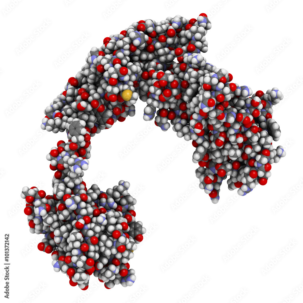 Streptokinase enzyme molecule. 