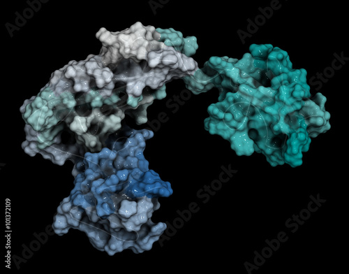 Streptokinase enzyme molecule. photo