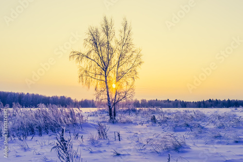not frozen pond in winter © dbrus