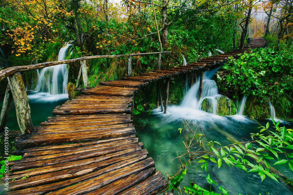 Fototapeta premium Głęboki strumień lasu z krystalicznie czystą wodą z drewnianą parą. Jeziora Plitwickie, Chorwacja Światowe dziedzictwo UNESCO