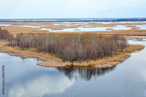View of the Voronezh reservoir in early spring