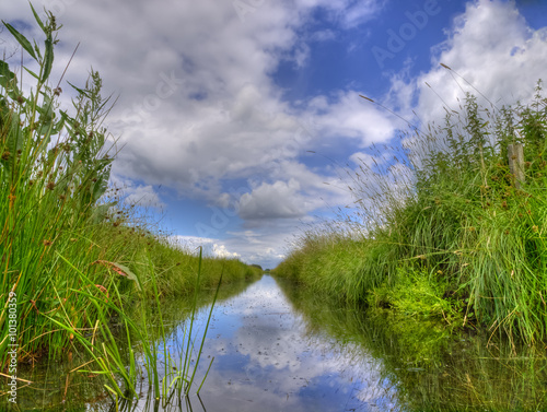 Fototapeta Freshwater ditch in dutch polder landscape