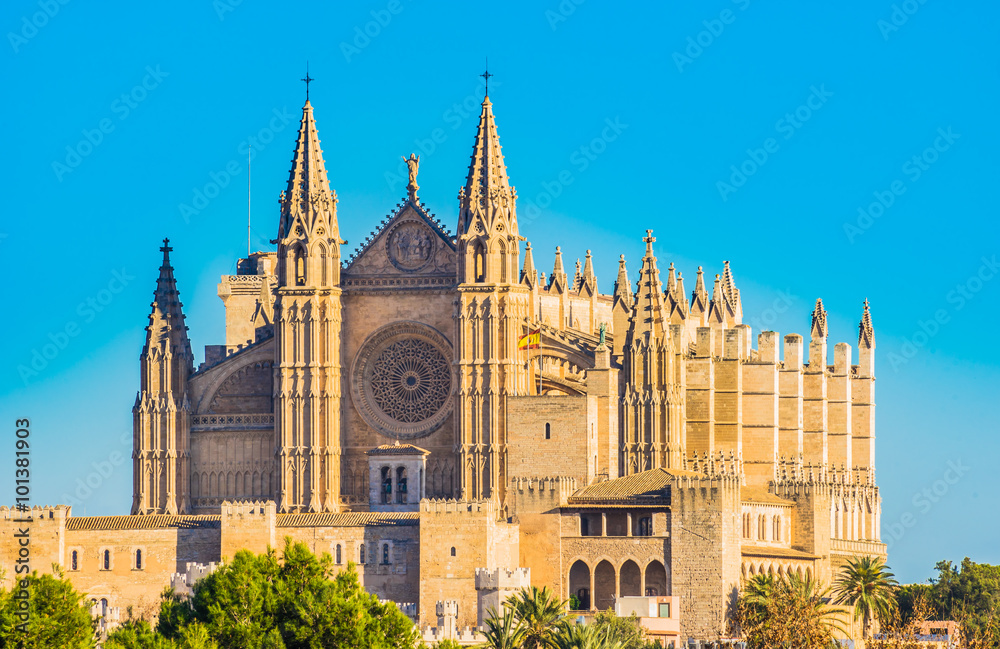 Kathedrale Palma Mallorca Spanien