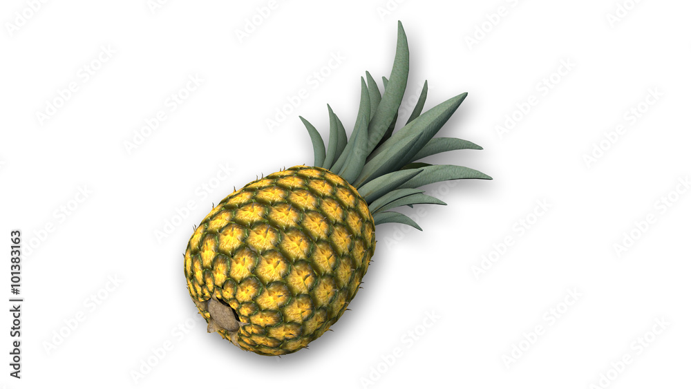 Pineapple, tropical fruit isolated on white background, close-up view Pineapple, tropical fruit isolated on white background, close-up view