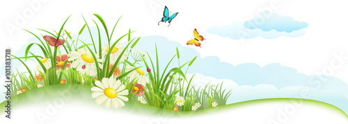 Green spring summer banner with grass, flowers, butterfly and clouds