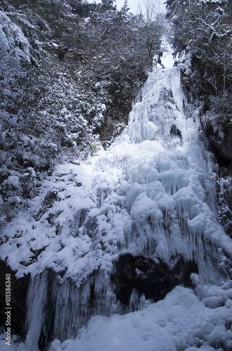 御船の氷瀑