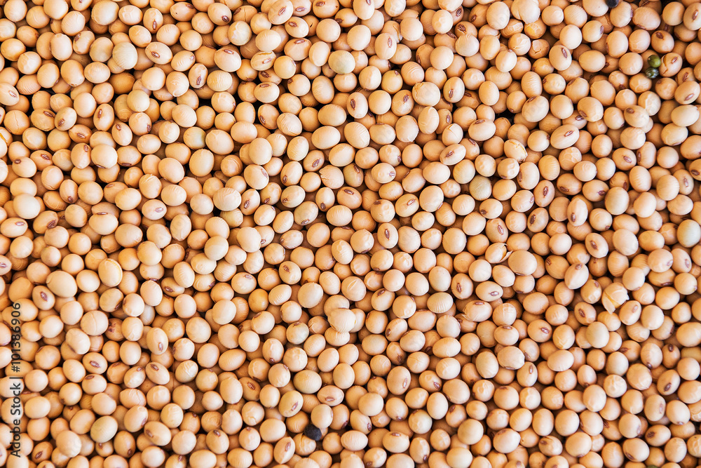 Macro shot of soybeans fills the frame Macro shot of soybeans fills the frame