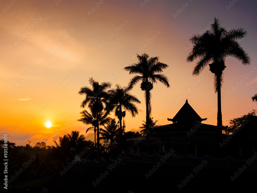 Obraz premium Palm Tree silhouette in Sunrise