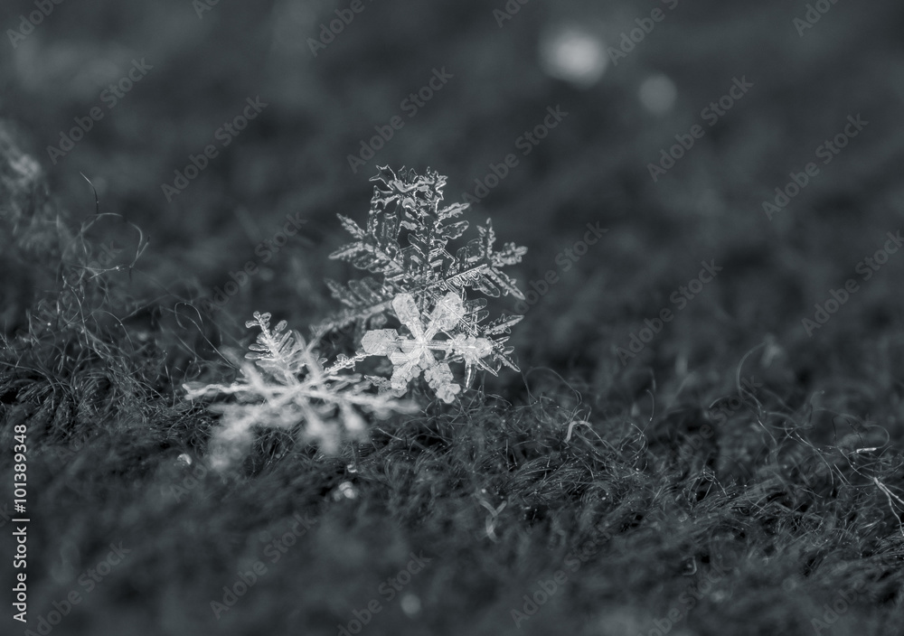 Schneeflocken