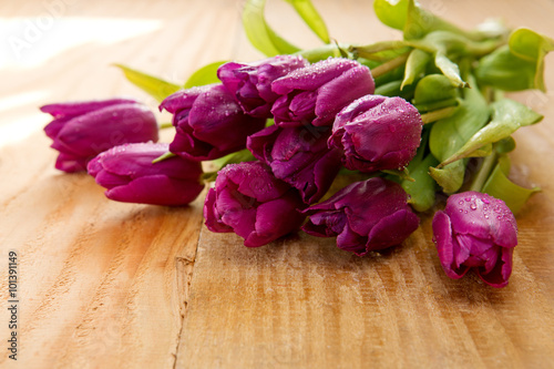 Fototapeta Naklejka Na Ścianę i Meble -  Purple tulips  on wood background.