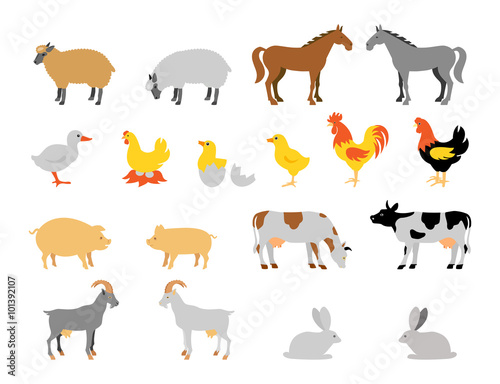 Farm animal collection set. Flat style character.