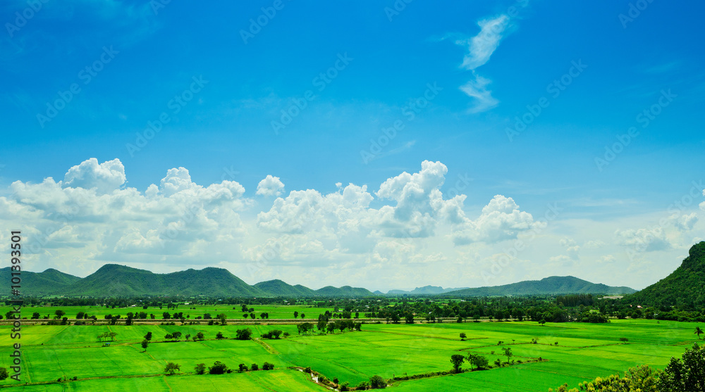 Aerial view of a green rural area under blue sky