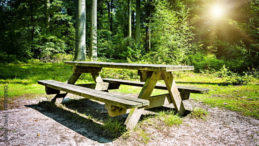 Picnic place in summer forest. Slider shot. Full HD, 1080p