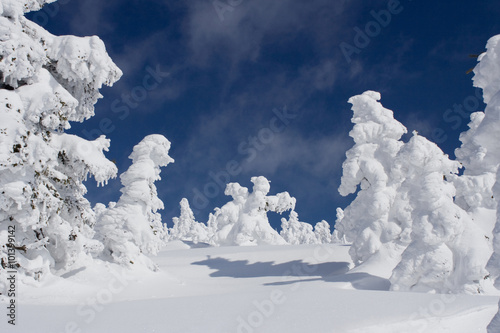 Winter view of snow covered mountain and trees