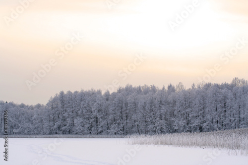 Winter lake and forest © Marta Jonina