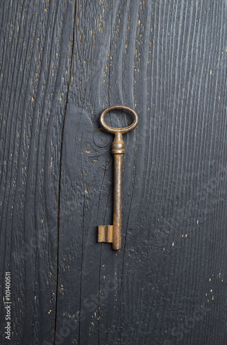 Vintage Key © bogdandimages